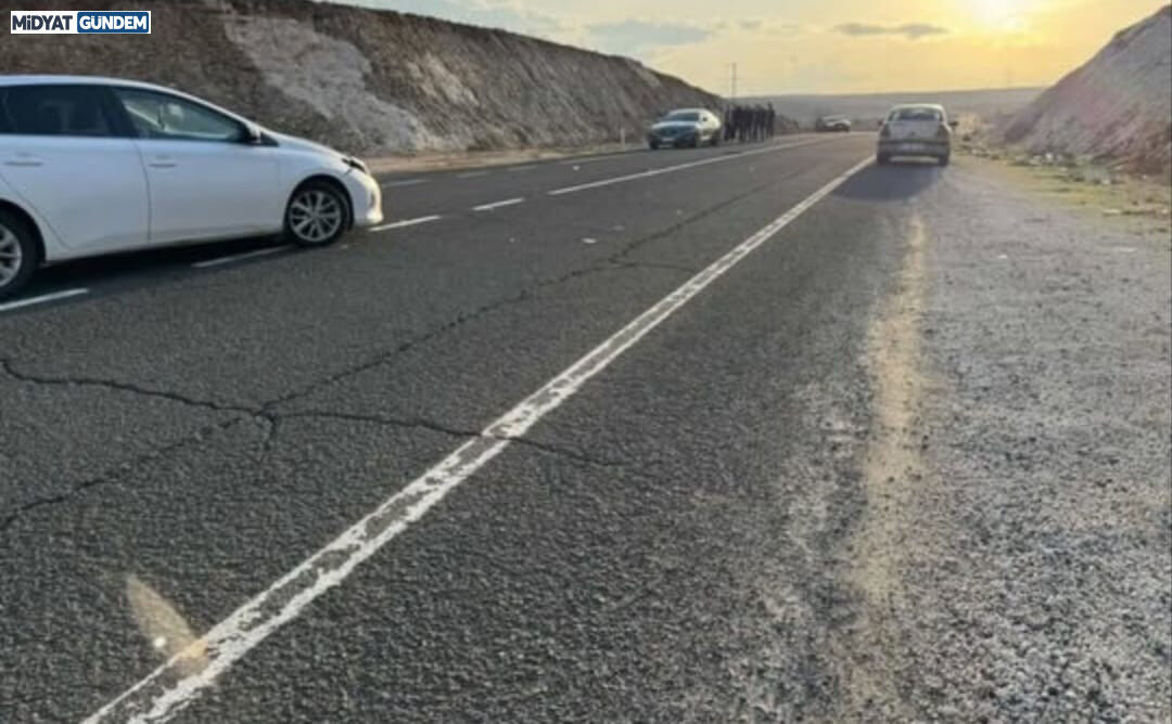 Midyat'ta Iki Aracın Çarpışması Sonucu 2 Kişi Yaralandı (1)