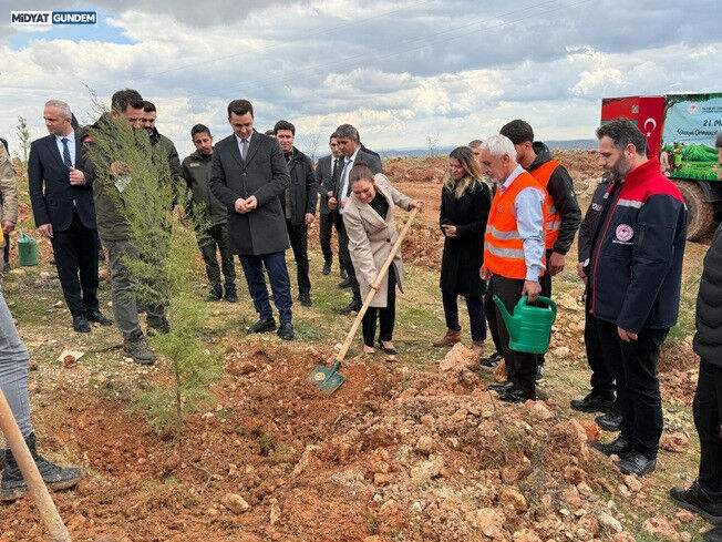 Dargeçit’te Orman Haftası Kapsamında Fidan Dikim Etkinliği Gerçekleştirildi (3)