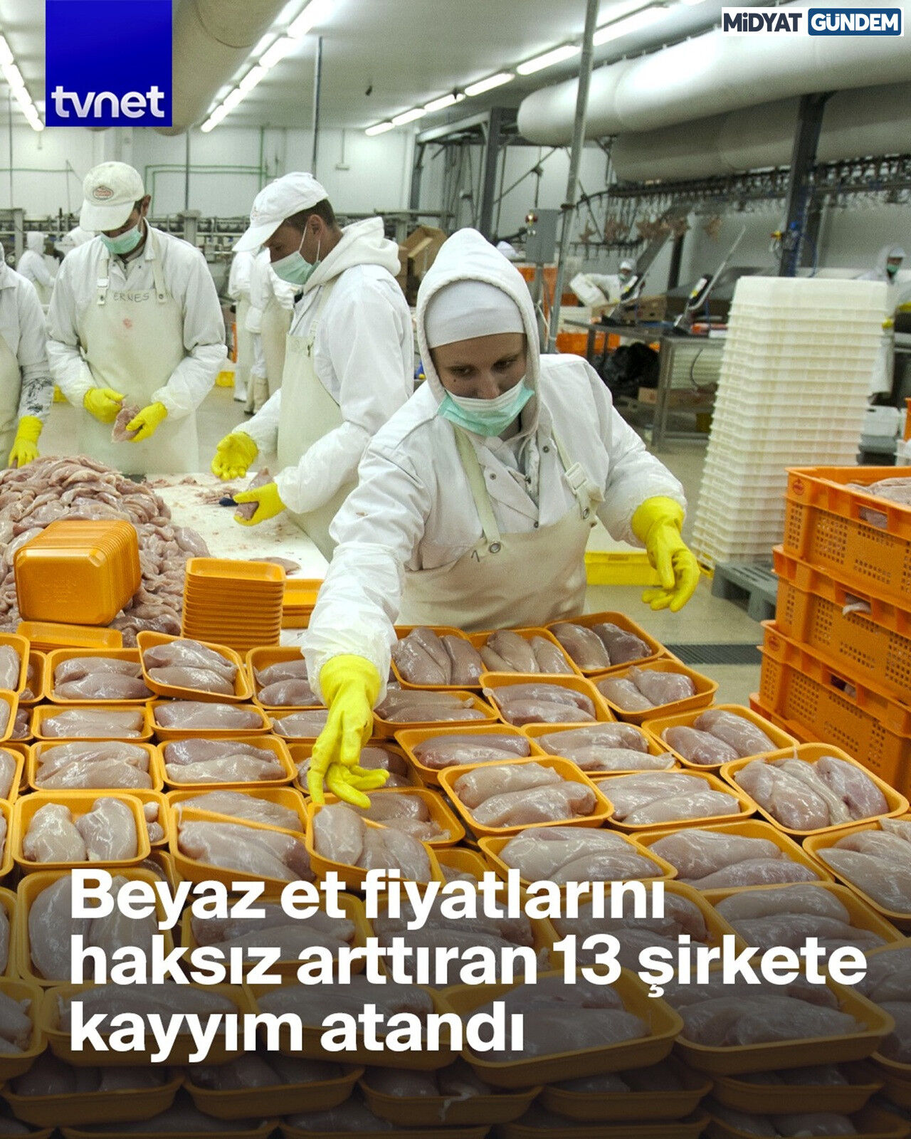 13 Şirkete Denetim Kayyımı Atandı