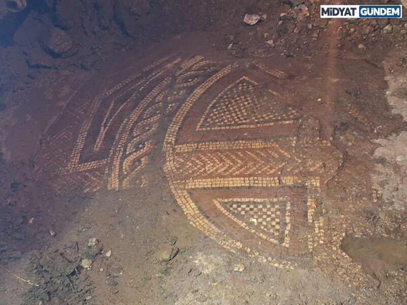 Mardin'de 1500 Yıllık Mozaik Operasyonu2