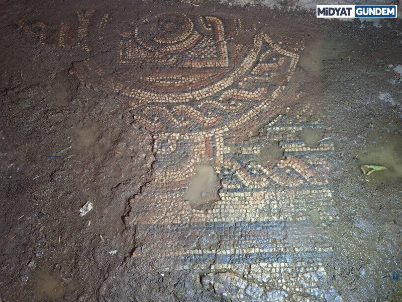 Mardin'de 1500 Yıllık Mozaik Operasyonu3