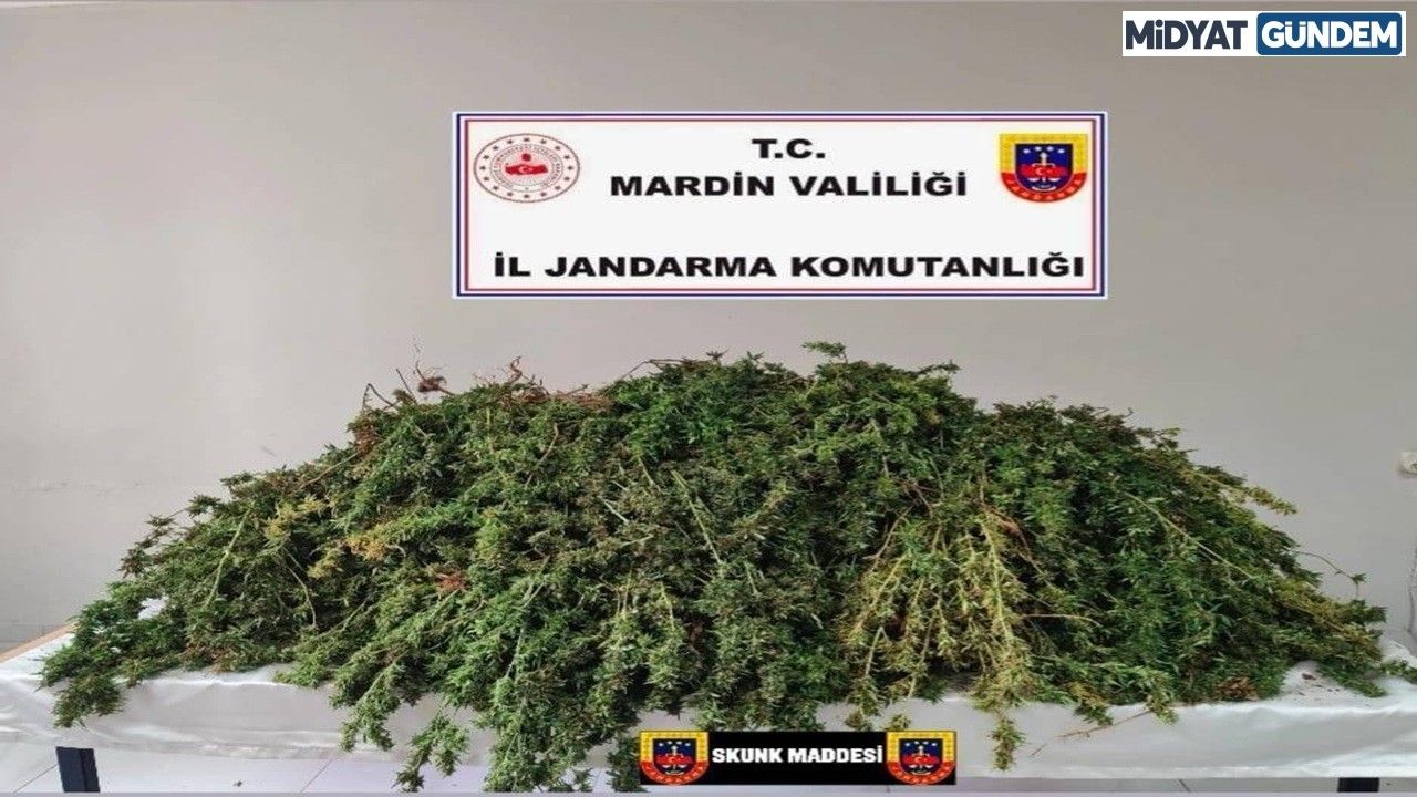 Mardin’de Jandarmadan Uyuşturucu Operasyonu