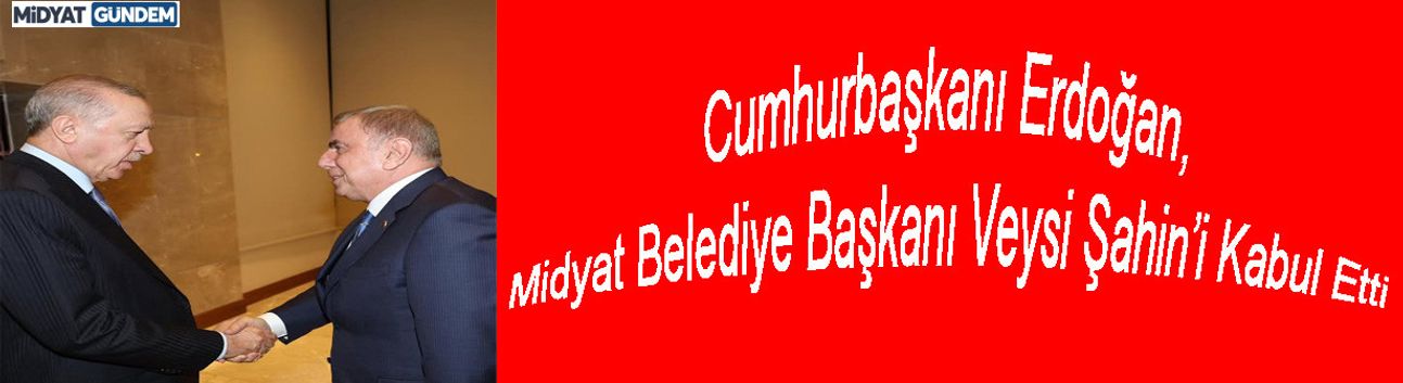Cumhurbaşkanı Erdoğan, Midyat Belediye Başkanı Veysi Şahin’i Kabul Etti